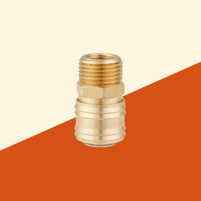 1/2 Erkek Gövde (1/4 Dişi Gövde) - İthal